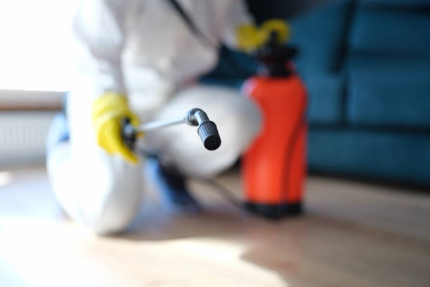 Monroe City, MO Mold Removal Company